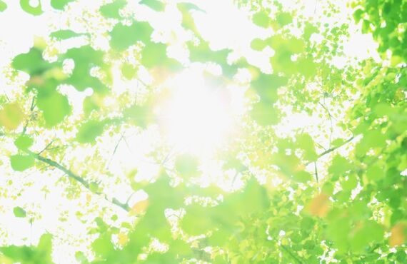 月額、サブスク形式で外構工事ができる！