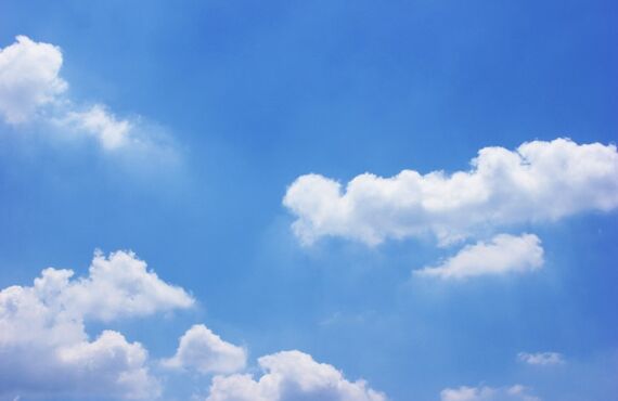 外構の植木工事なら令和建設にお任せ！