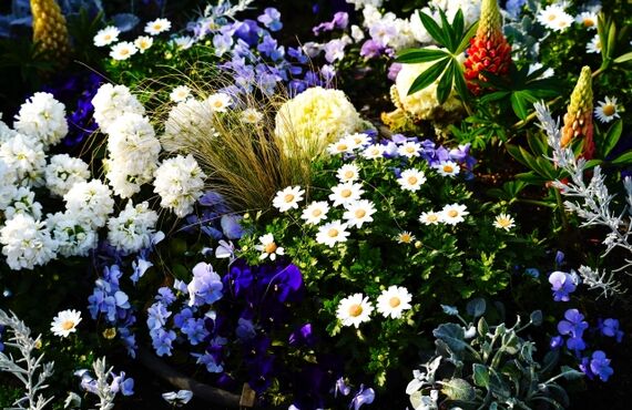 【岡山市 ガーデニング 庭リフォーム】おしゃれで快適な庭を実現！